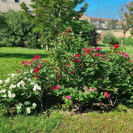 Angela Di Venezia House Apartman Kültér fotó